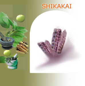 shikakai suppliers india,Indian herbs suppliers,herbs exporters,shikakai herbs manufacturers