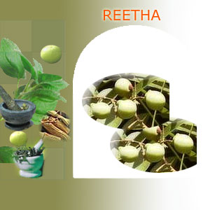 reetha suppliers india,Indian herbs suppliers,herbs exporters,reetha herbs manufacturers,reetha exporters india